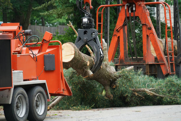 Lawn Drainage Solutions in Trucksville, PA