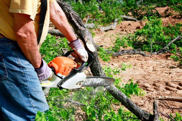 Lawn Watering Services in Trucksville, PA